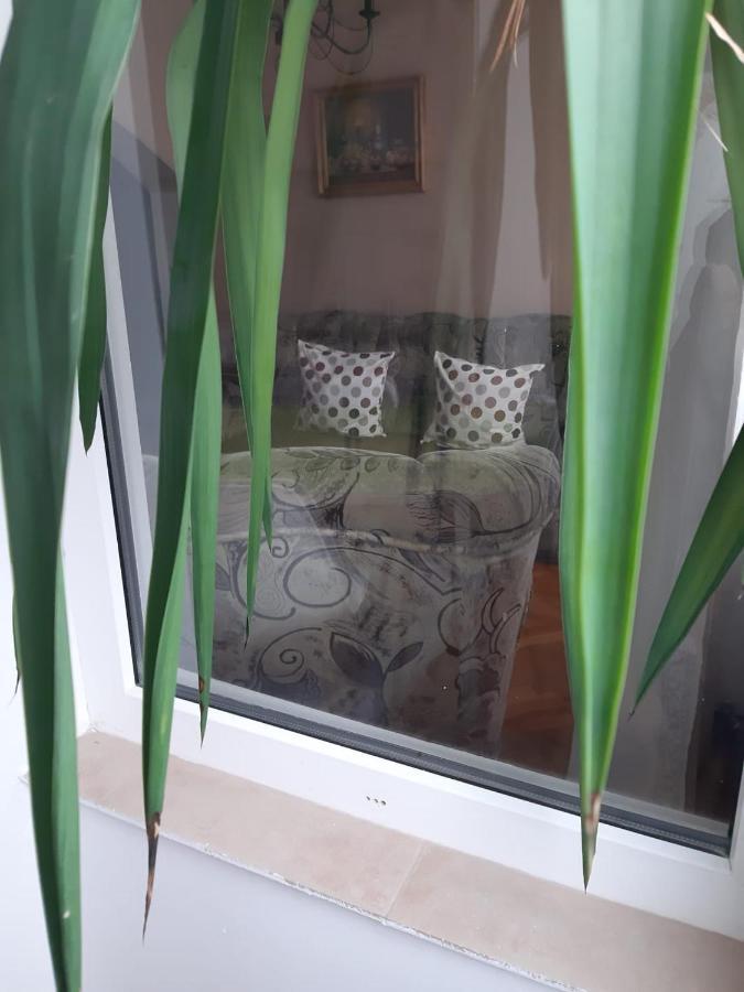 Pelican Proxy Apartment Oradea Εξωτερικό φωτογραφία